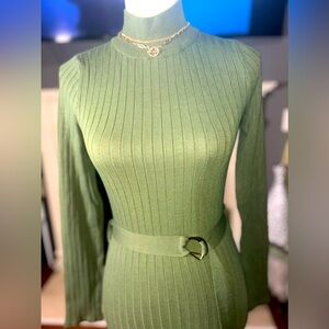 FashionNova Olive green turtle neck dress